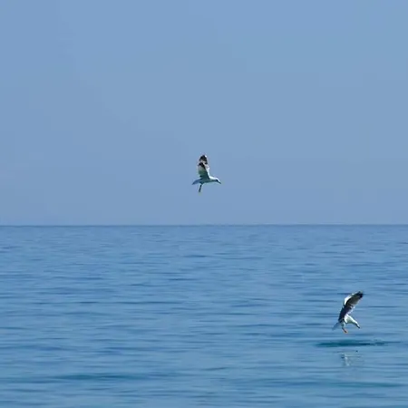 Apart Otel Leonidas And