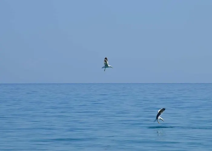 Apartahotel Leonidas And