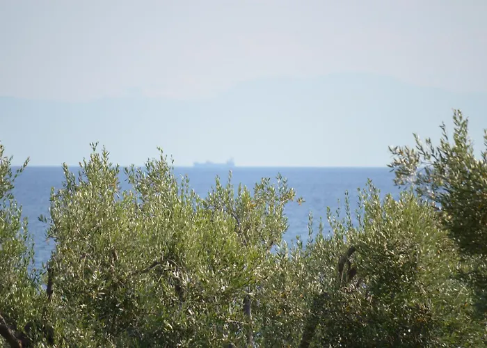 Leonidas And Apartahotel 3*